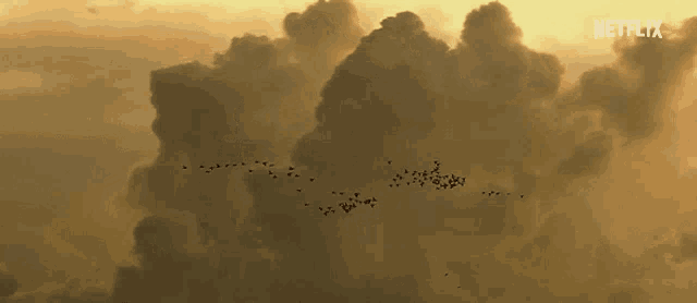 a flock of birds flying through a cloudy sky with the netflix logo in the corner