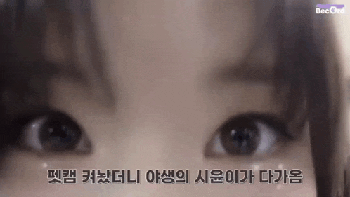 a close up of a woman 's eyes with a foreign language written on it .