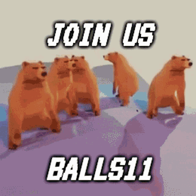 Balls Bears GIF - Balls Bears 11 GIFs