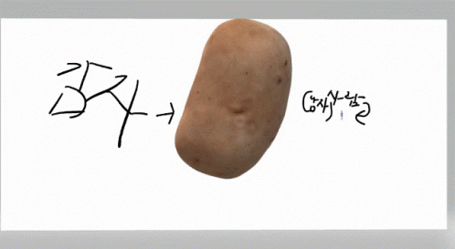 감자 사람 GIF - 감자 사람 감자와사람 GIFs