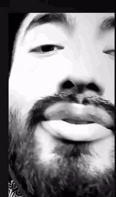 a close up of a man 's face with a beard and mustache .