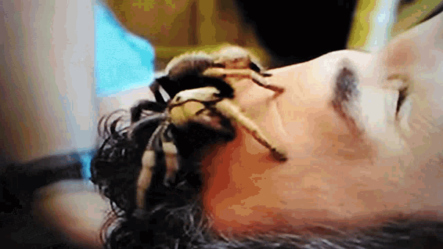 a spider is crawling on the face of a woman