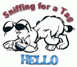 Dog Hello GIF - Dog Hello Sniffing For A Tag GIFs