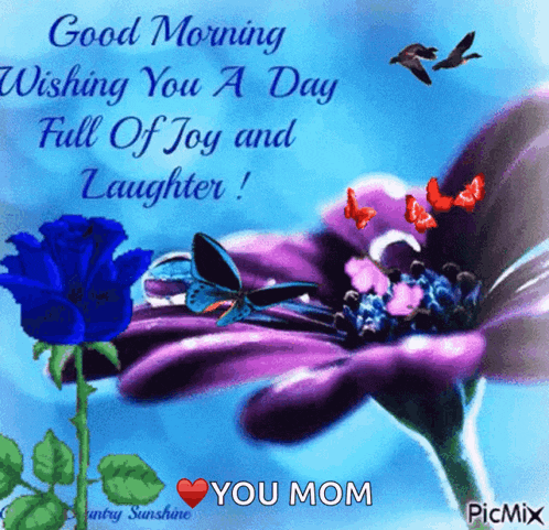a good morning wishing you a day full of joy and laughter from you mom