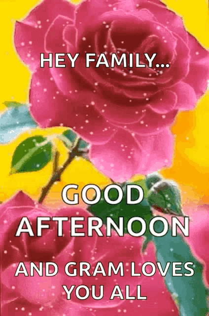a picture of pink roses with the words hey family good afternoon and gram loves you all on it