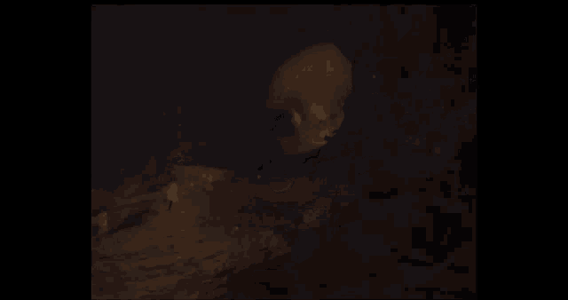 a person is standing in a dark cave with a torch in the foreground .