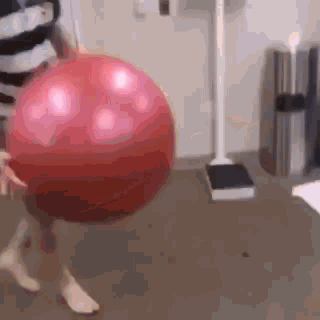 Yogaball GIF - Yogaball GIFs