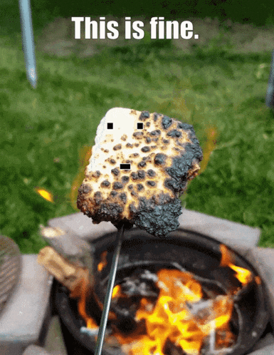 a marshmallow is being cooked over a fire with the words " this is fine " above it