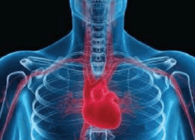 a x-ray of a man 's chest with a red heart in the middle .