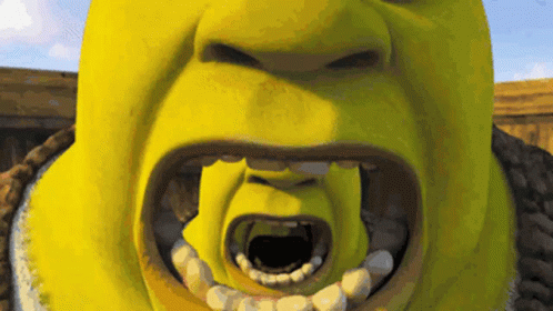 怪物史莱克 Shrek GIF - 怪物史莱克 怪物 Shrek GIFs