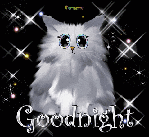 a picture of a cat with the words goodnight written on it