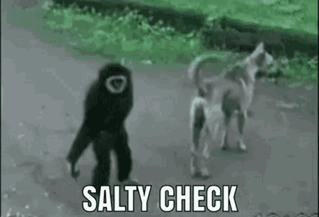 Salty Check Salty GIF - Salty Check Salty Check GIFs