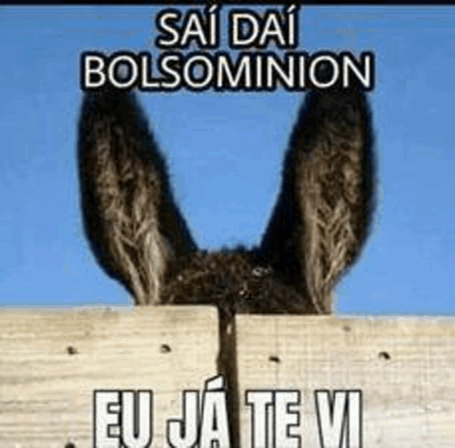 a donkey peeking over a wooden fence with a caption that says `` sai dai bolsominion eu ja te vi '' .