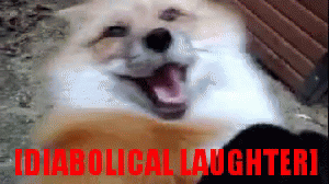 Diabolical Laughter GIF - Diabolical Laughter Fox GIFs