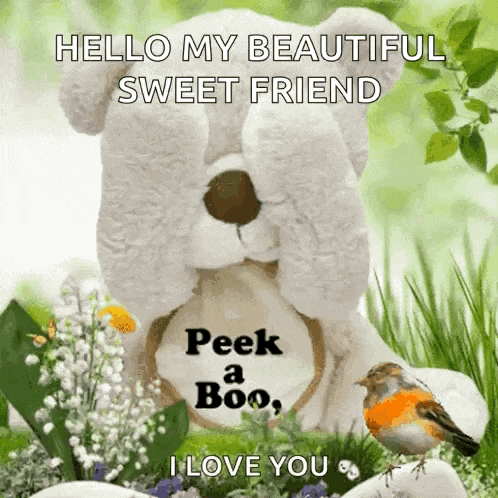 a teddy bear is covering its eyes with its paws and says hello my beautiful sweet friend peek a boo .