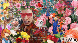 a collage of flowers and a man wearing heart shaped glasses says picmix on the bottom
