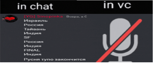 a microphone with a red line through it and the words in chat