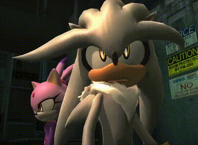 silver the hedgehog and rose the hedgehog are standing next to each other in front of a caution sign