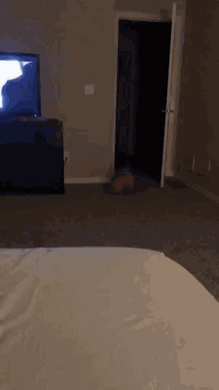 a blurred image of a bedroom with a tv and a door
