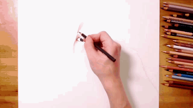 a person drawing with a pencil that says prismacolor