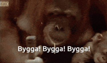 a close up of a monkey with the words " bygga bygga bygga " on the bottom