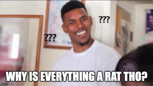 Why Is Everything A Rat Rat GIF - Why Is Everything A Rat Rat Everything GIFs