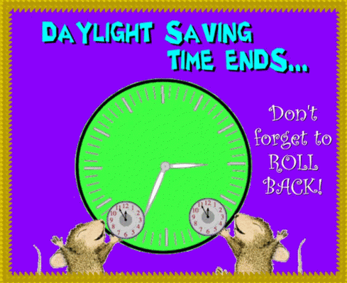 Daylight Savings Time Dst GIF