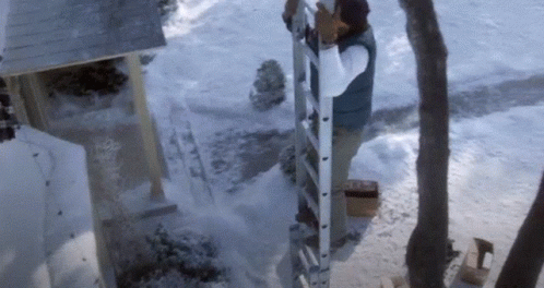 National Lampoons Clark Griswold GIF - National Lampoons Clark Griswold Ladder GIFs