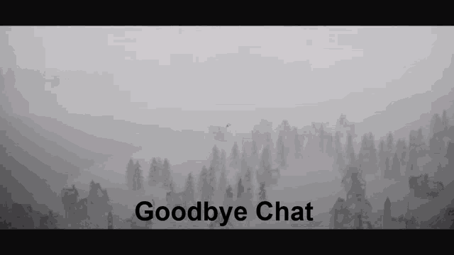 a black and white photo with the words goodbye chat