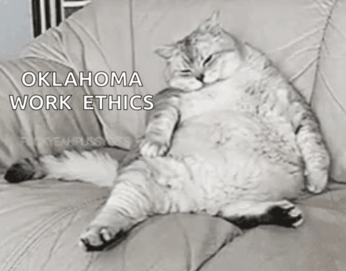 a fat cat laying on a couch with oklahoma work ethics written on the bottom