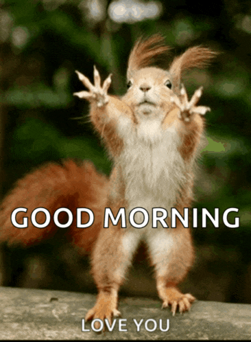 a squirrel with its arms outstretched says good morning