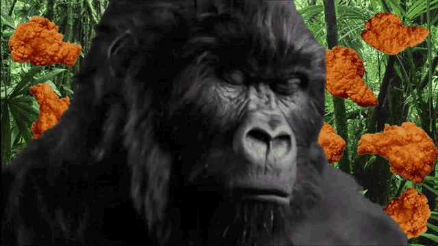 Ape Jungle Nuggies GIF - Ape Jungle Nuggies GIFs