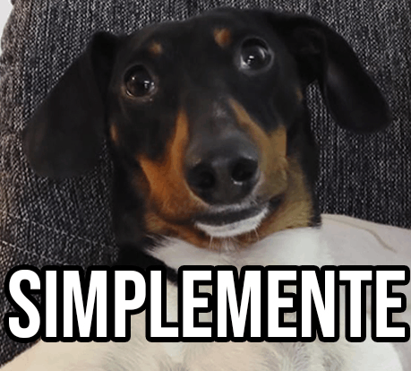 Simplemente Chila Salchicha GIF - Simplemente Chila Salchicha GIFs