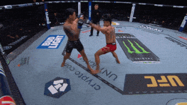 two men are fighting in a ring with bud light and monster advertisements on the floor