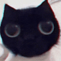 a black cat with big eyes is looking at the camera