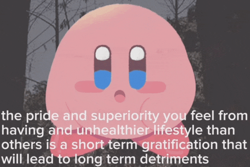 a picture of kirby with a caption that says the pride and superiority you feel