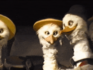 three stuffed birds wearing hats and ties are standing next to each other .