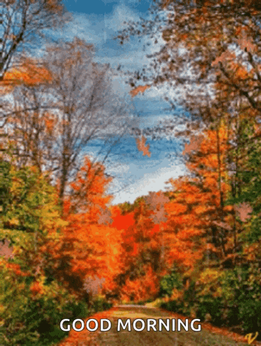a picture of a forest with the words " good morning " on it