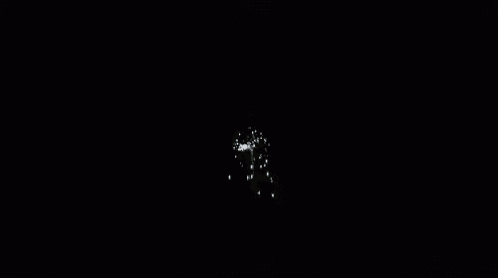 a fireworks display in the night sky with a circle of fireworks in the middle .