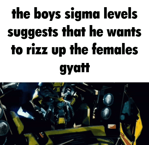 the boys sigma levels suggests that he wants to rizz up the females gyatt