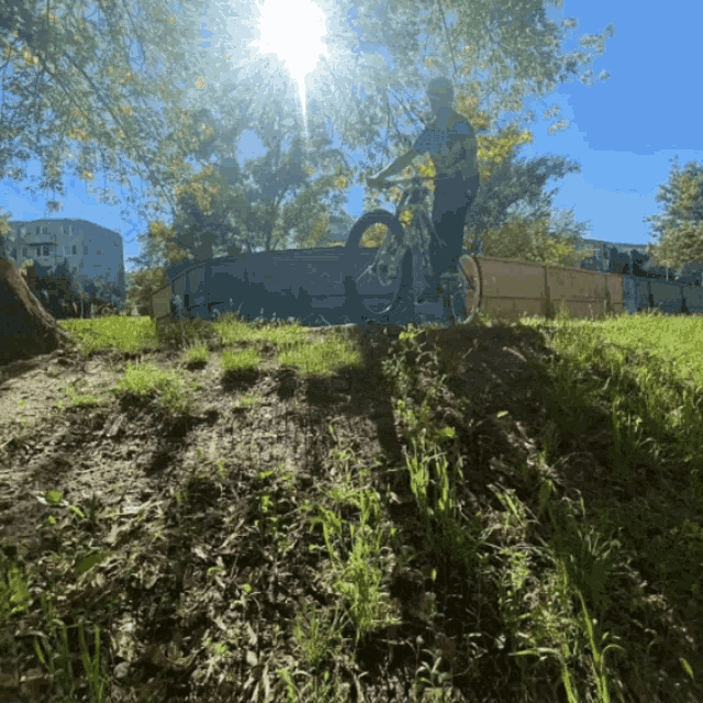 a person riding a bike on a grassy hillside with the sun shining through the trees