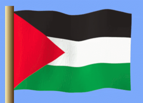 Filistin Pales GIF - Filistin Pales Palestine Flag GIFs