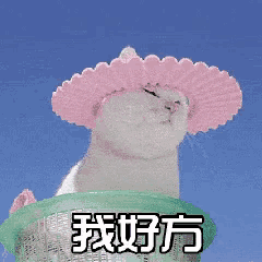 a cat wearing a pink hat is sitting in a green basket