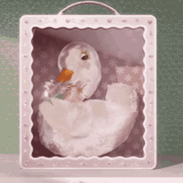 a stuffed swan in a pink box on a table