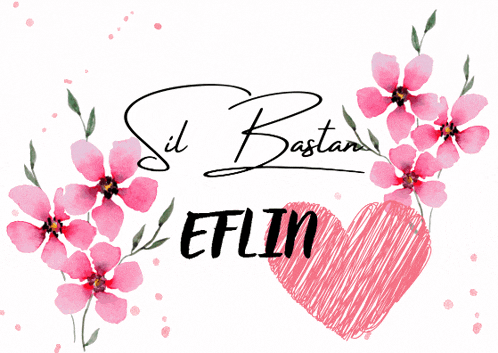 a drawing of pink flowers and the words sil bastan