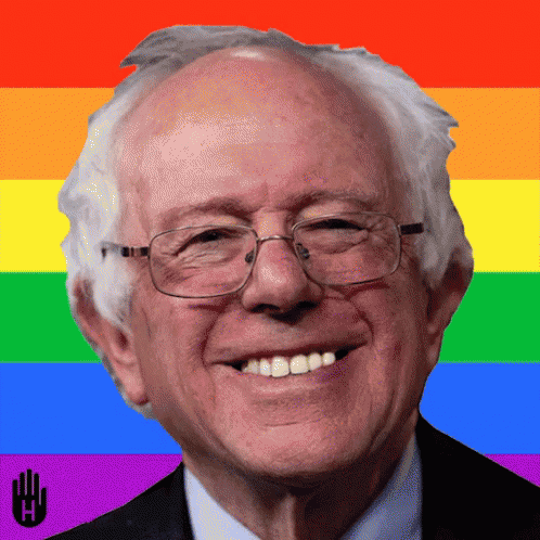 Bern This Way GIF - Elections GIFs