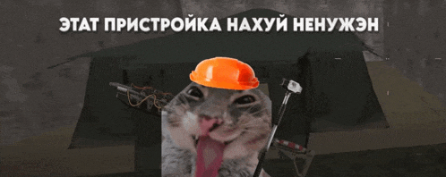 a cat wearing an orange hard hat is sticking out its tongue