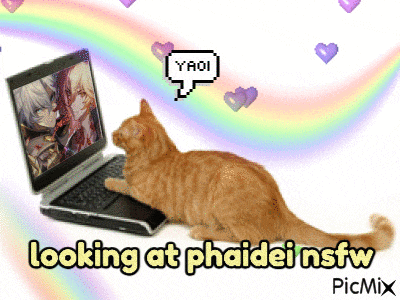 a cat is looking at a laptop with a yaoi speech bubble above it