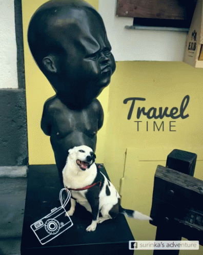 Travel Time Selfie GIF - Travel Time Selfie Dog GIFs