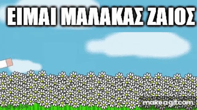 a bunch of daisies are growing in a field with the words eimai maanakaz zaios